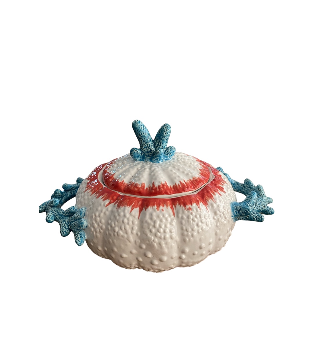 CORAL AQUA DESENLİ KAPAKLI ÇORBA KASESİ